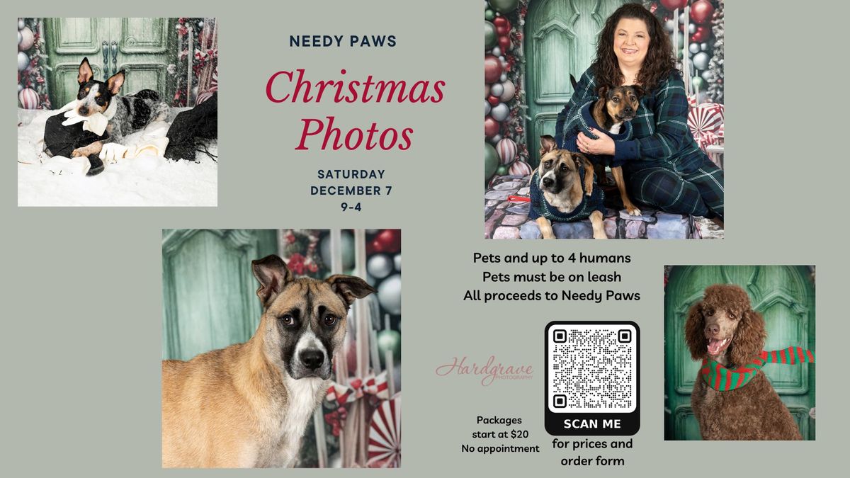 Needy Paws Christmas Photos