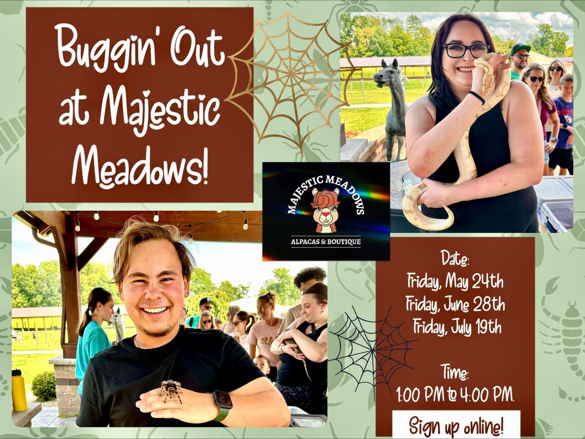 Buggin' Out at Majestic Meadows!
