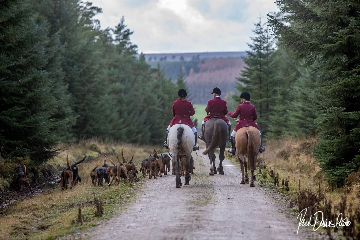 Highmoor Bloodhounds Meet @ High Muffles, Stape (Cropton Forestry)