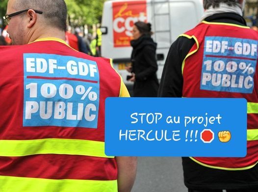 Manifestation Nationale et gr\u00e8ve contre le projet Hercule EDF