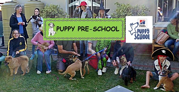 PUPPY PRE-SCHOOL Course Sept-Oct 2024