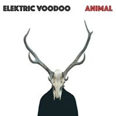Elektric Voodoo
