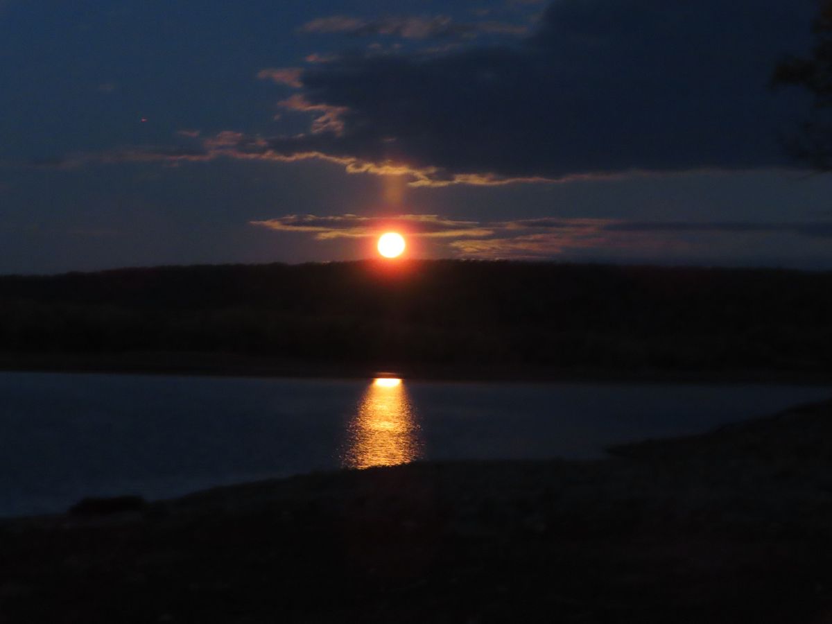 Moonlight Hike