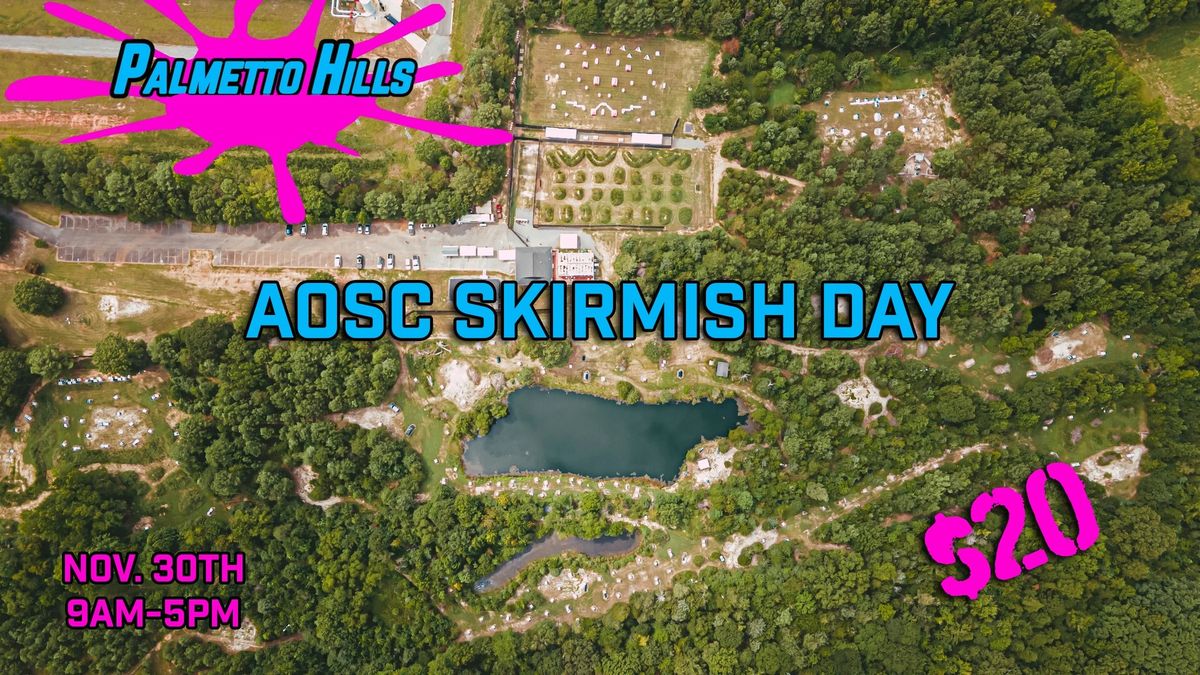 Palmetto Hills Skirmish