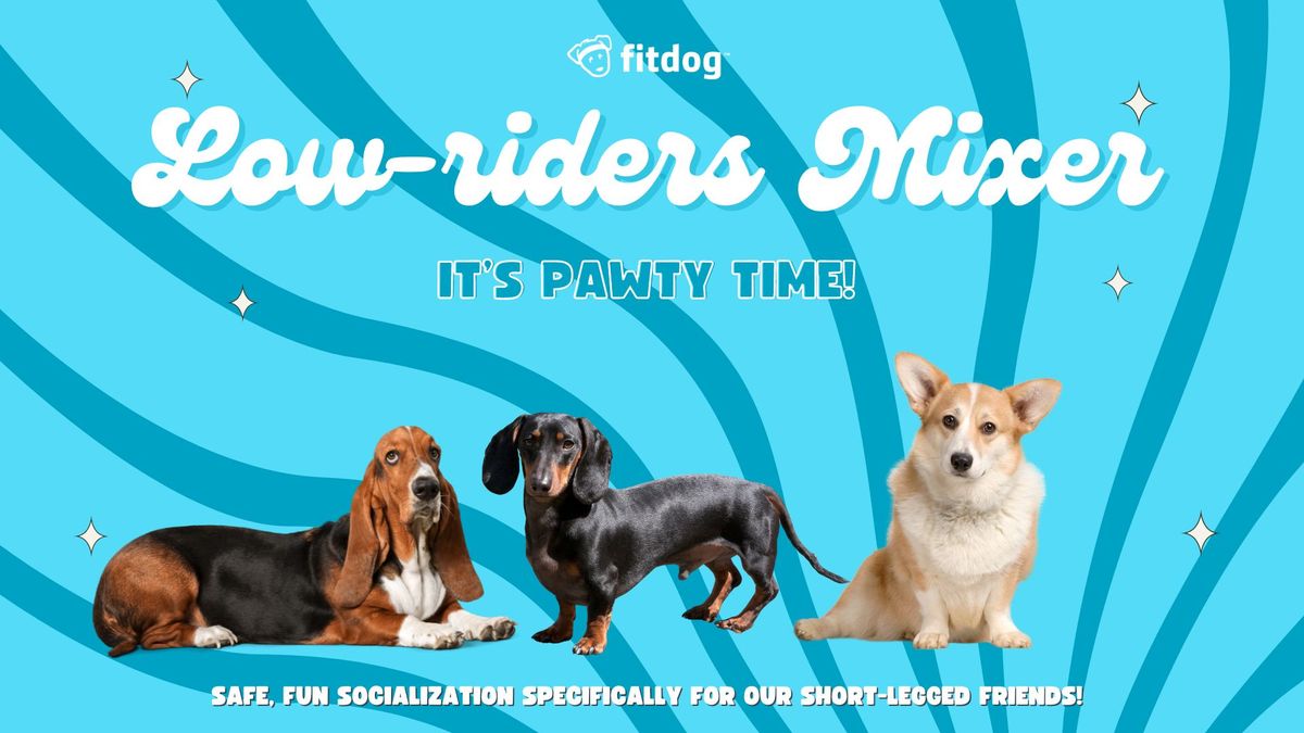 Low-Riders Mixer at Fitdog