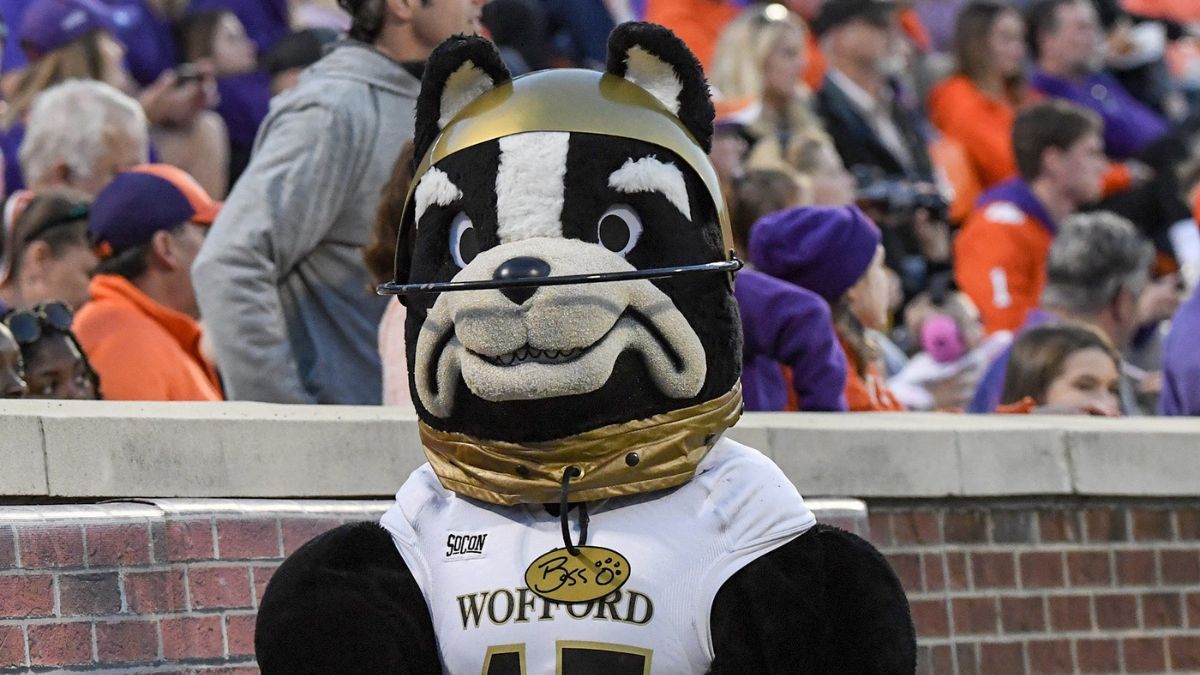 Wofford Terriers at South Carolina Gamecocks Softball