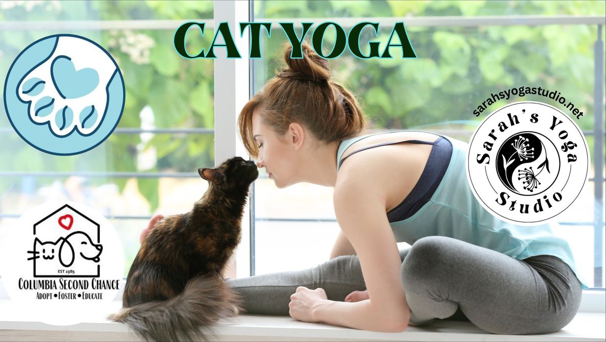 Cat Yoga at Bertha's Beans with Sarah's Yoga Studio