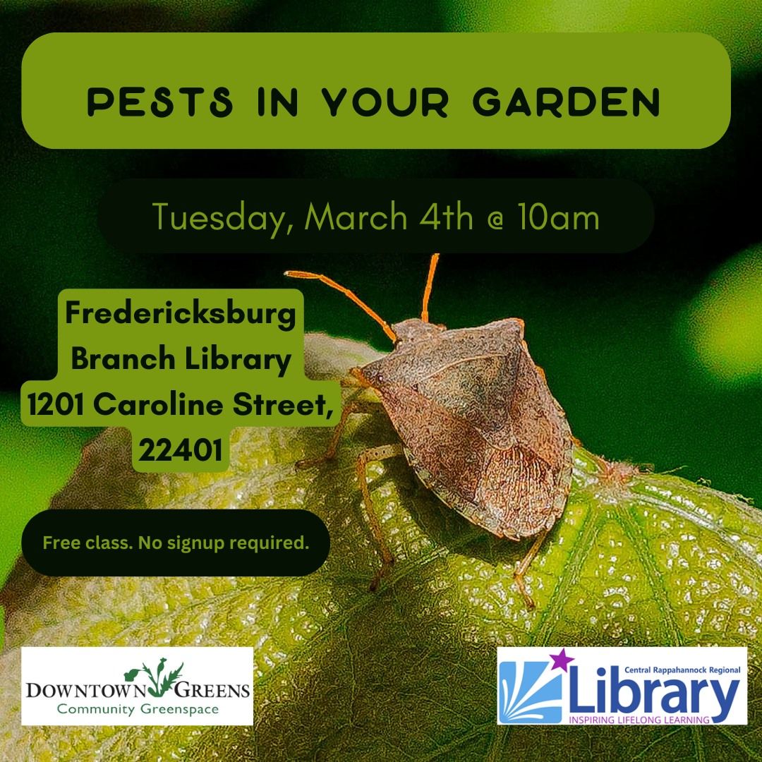 Pests in Your Garden