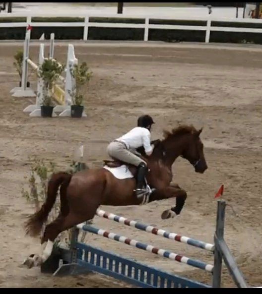 Jumping into 2025!    USHJA Outreach Jumper & Equitation Show