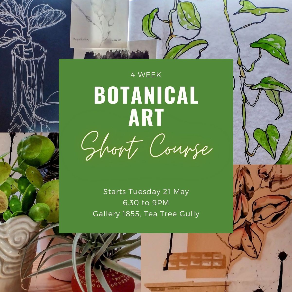 Botanical Art Short Course