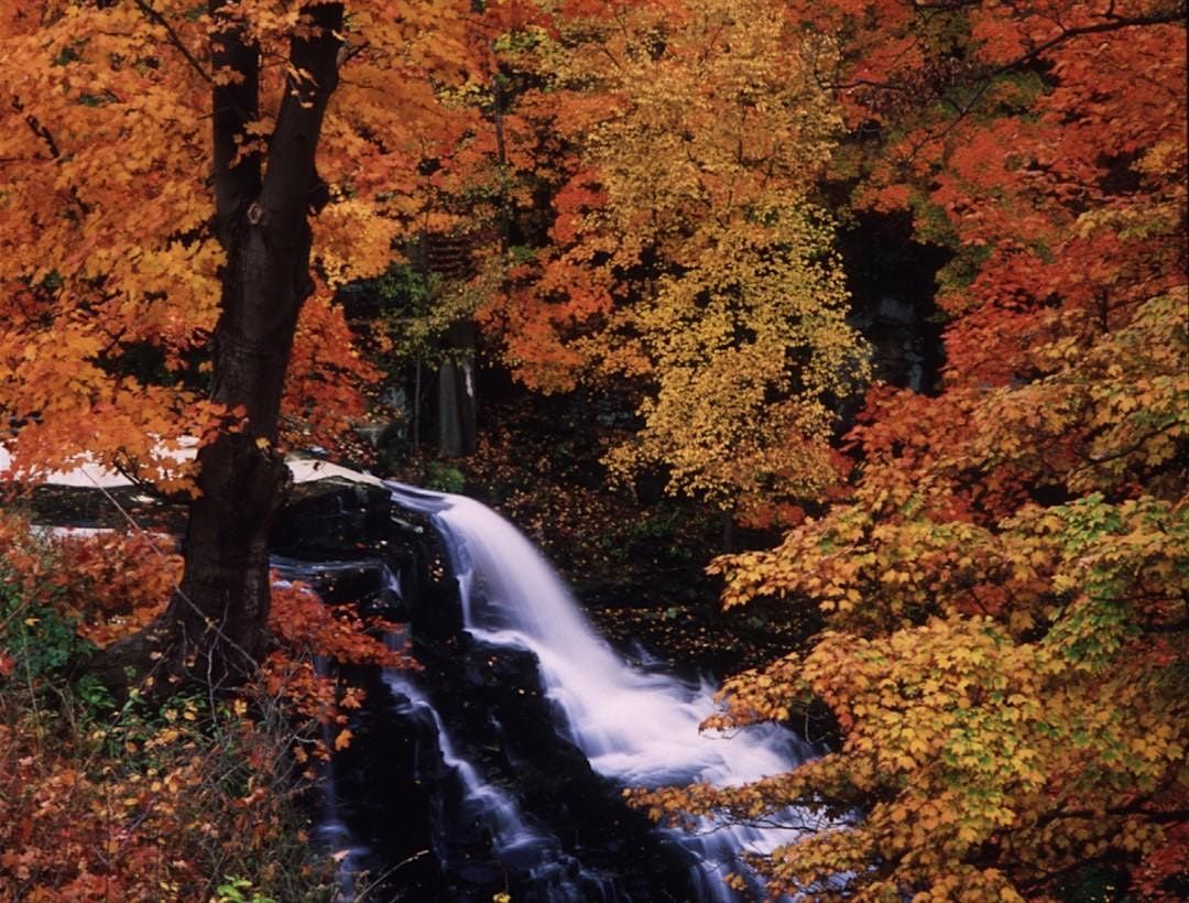 First Thursday Tour: Final Look: Ordinary Miracles