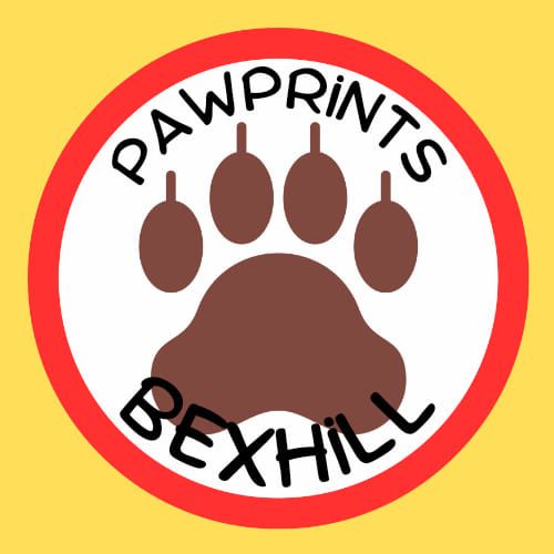 Pawprints Bexhill - 6 to 9 year olds