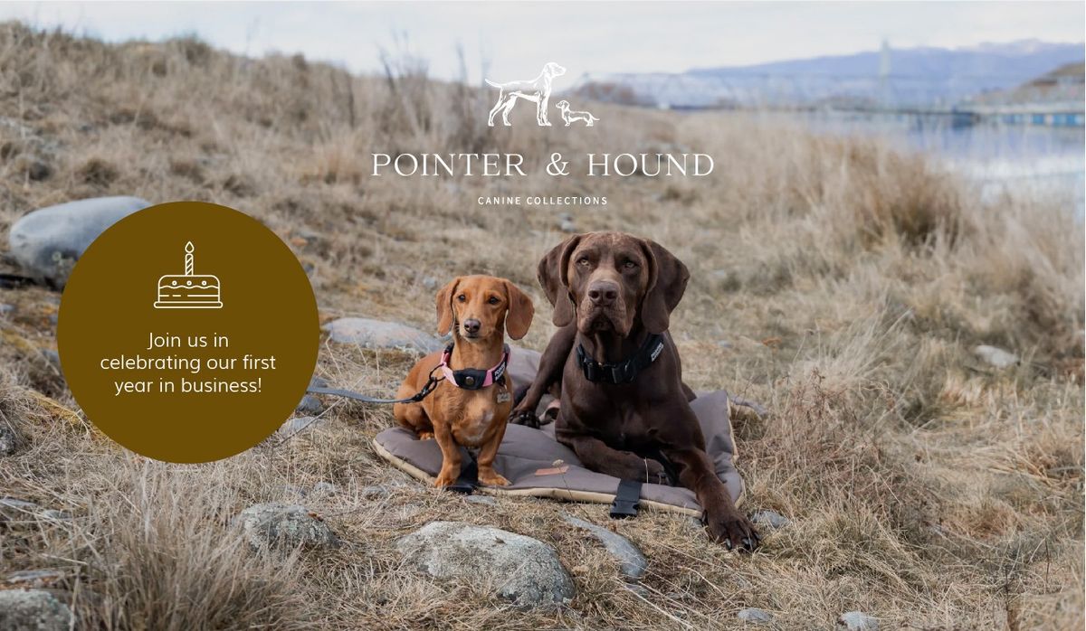 POINTER & HOUND turns 1! Dog meet up \ud83d\udc3e