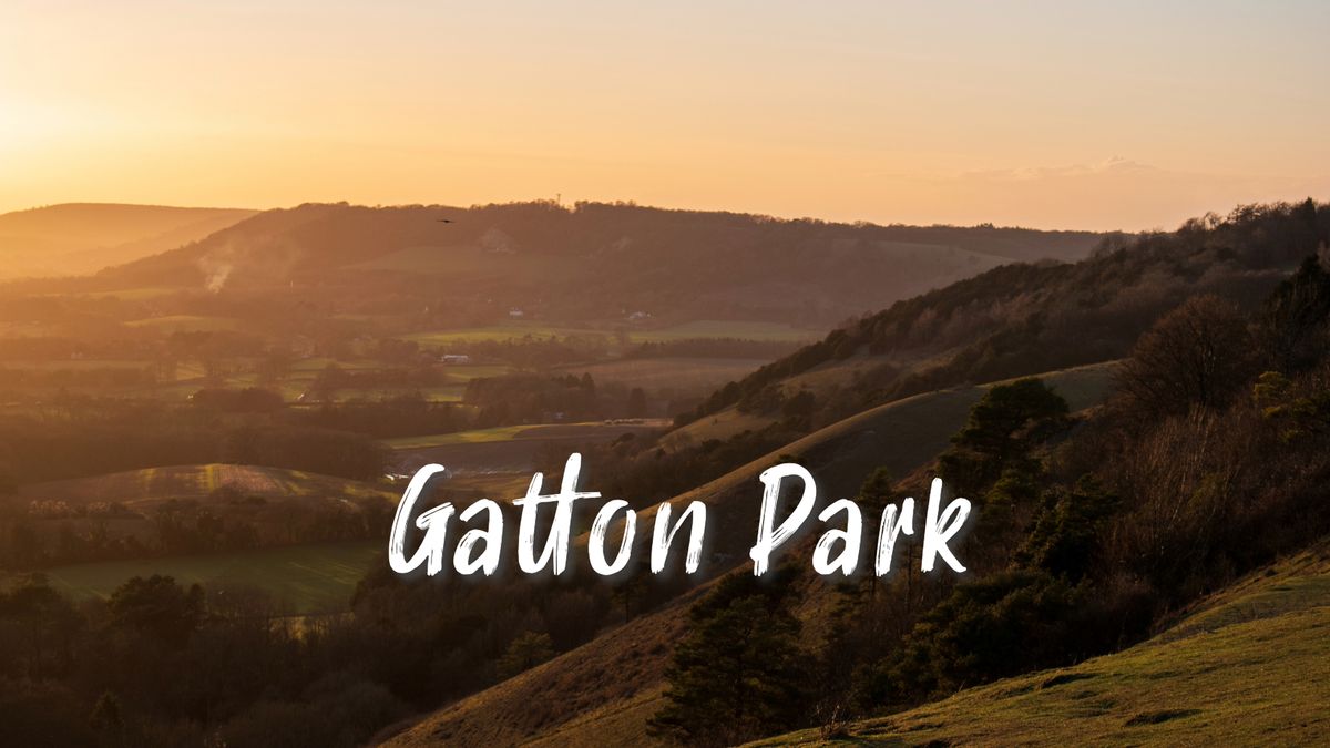 Gatton Park And North Downs Way - Saturday, 11 Oct 2025