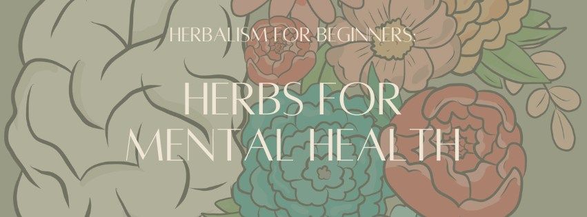 Herbalism For Beginners: Herbs For Mental Health