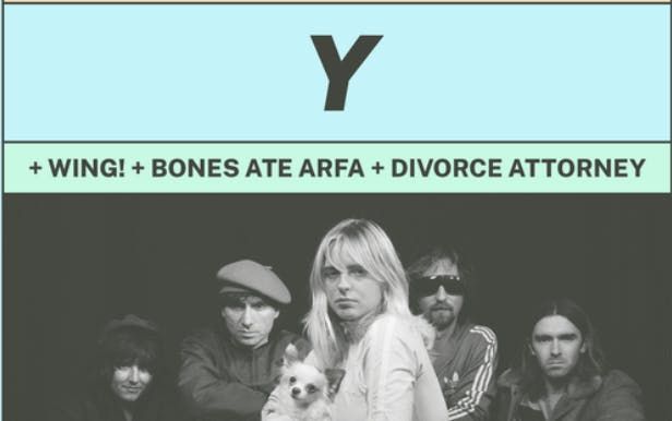 HH: Y + wing! + Bones Ate Arfa + Divorce Attorney