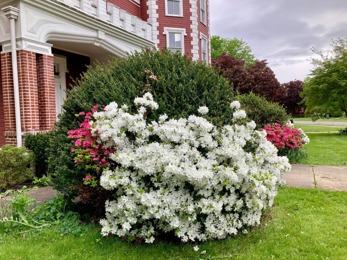 Spring Garden Cleanup at The Castle