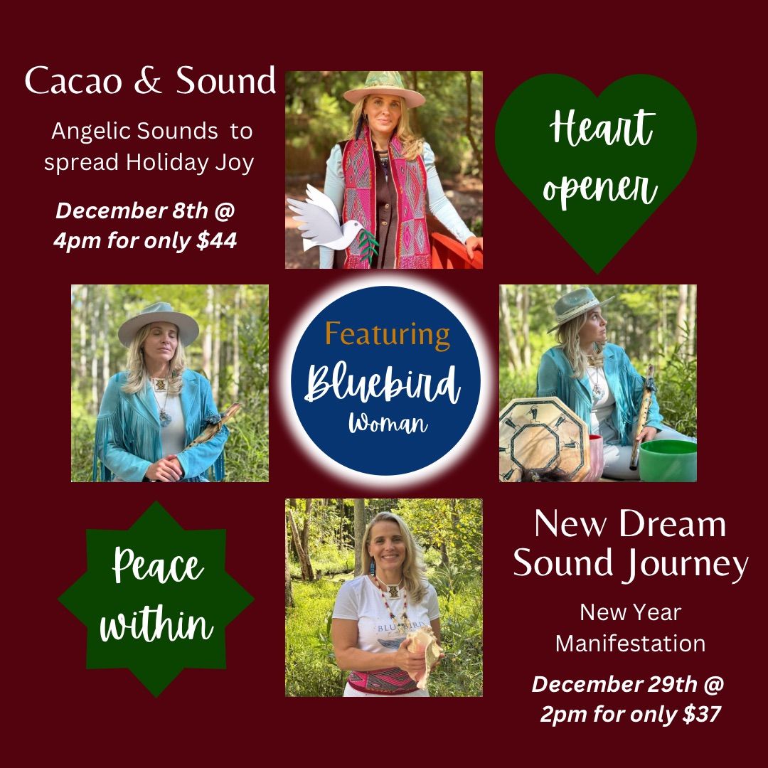 New Dream Sound Journey 