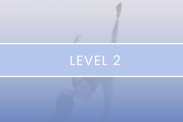 Level 2 Flexibility Intensive - Singapore September 2024