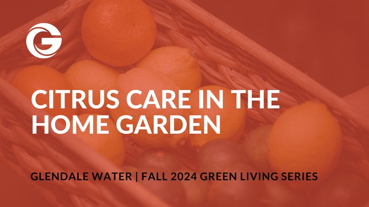 Citrus Care in the Home Garden