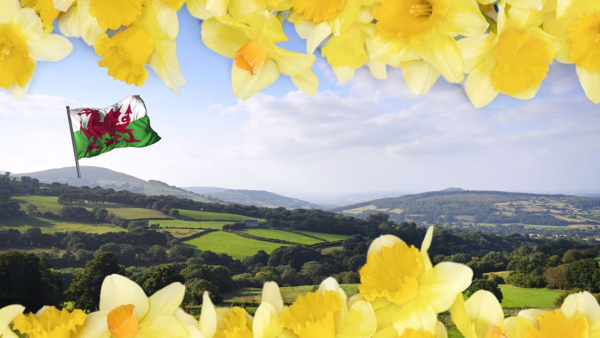 St David\u2019s Day Walk: Celebrating the Welsh landscape in Llangynidr