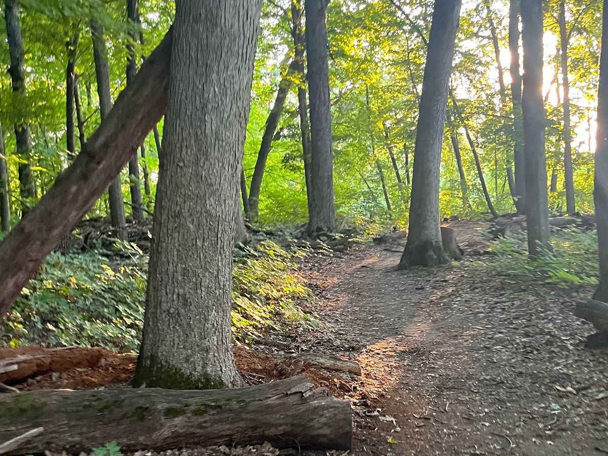 Morning Miles in the Arb