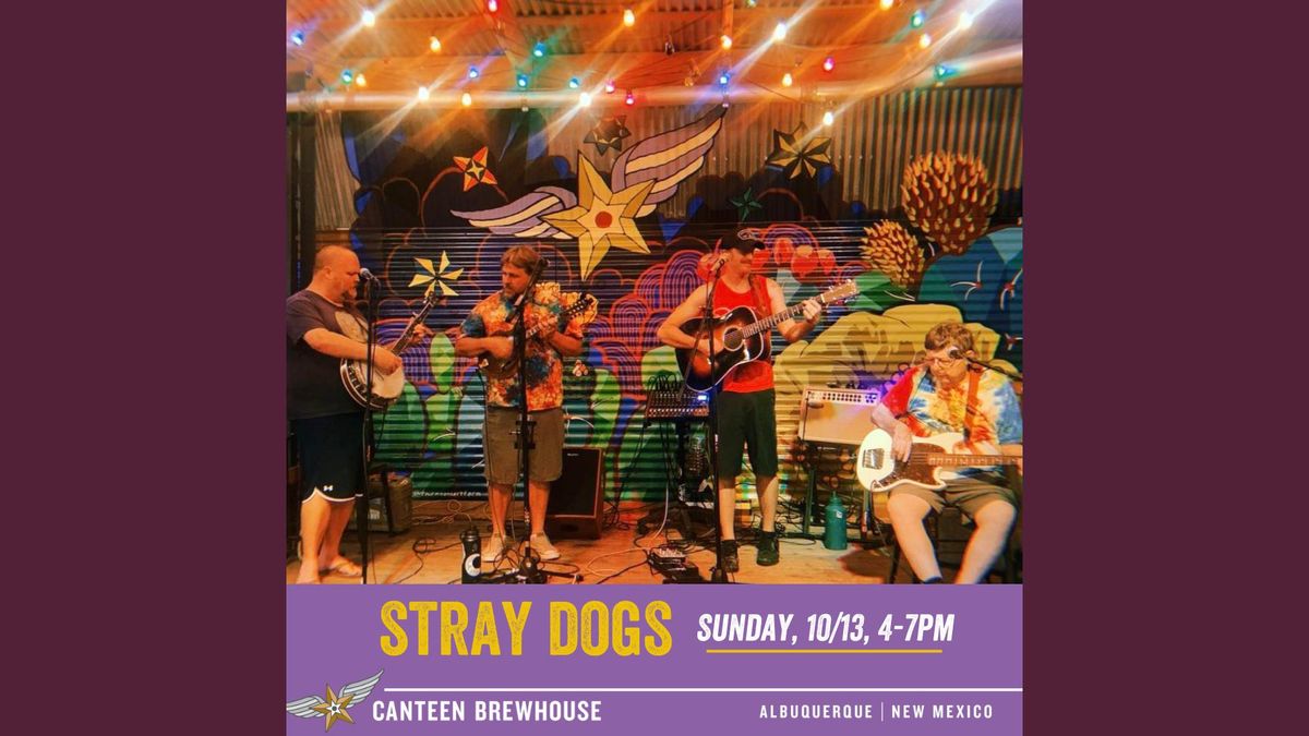 Stray Dawgs