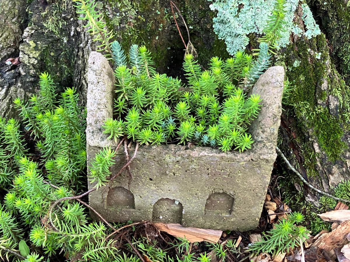 Crafting Garden Treasures: Make Your Own Hypertufa Open Roof Planter