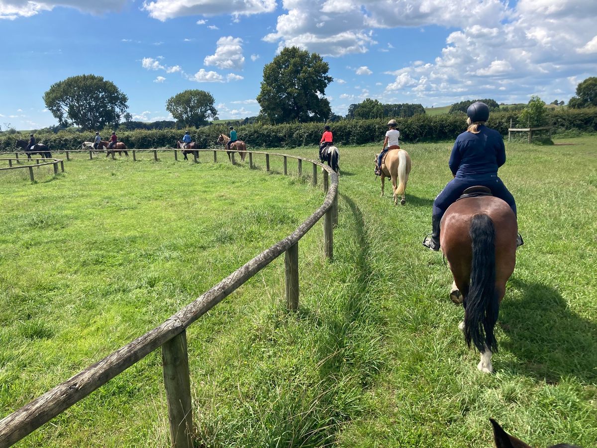 Experience Week - Adults Returning to Riding