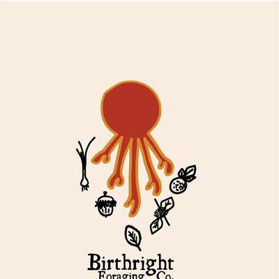 Birthright Foraging Co.