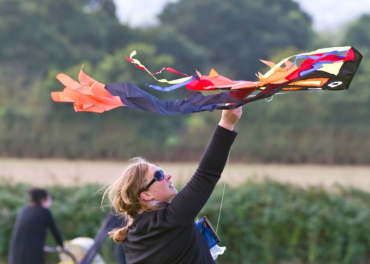 Kite Day - FREE FAMILY EVENT