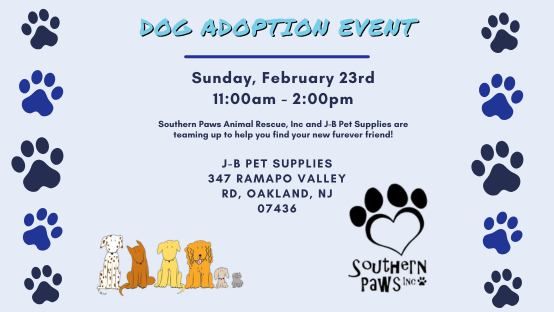 Dog Adoptions with Southern Paws Animal Rescue