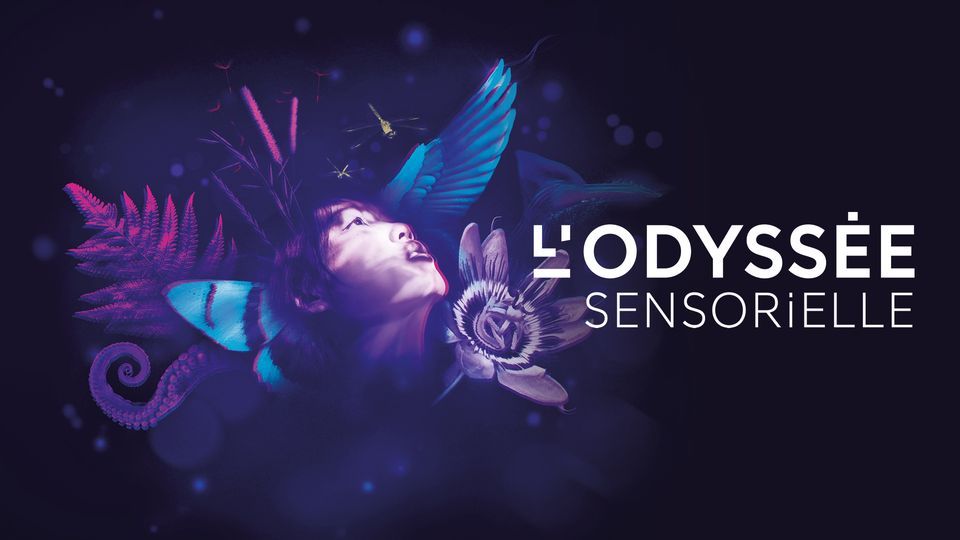 Exposition | L'Odyss\u00e9e sensorielle