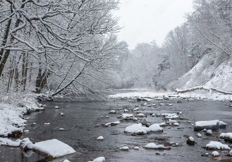 Mississauga Etobicoke Creek Winter Hike & Eat