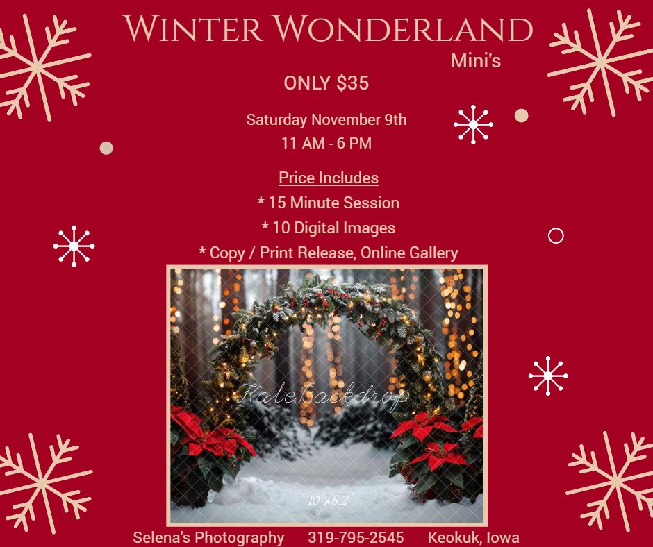 Winter Wonderland Mini's