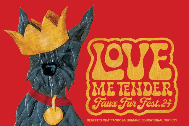 Love Me Tender - Faux Fur Fest 2024 w\/ Elvis + the Blue Suedes