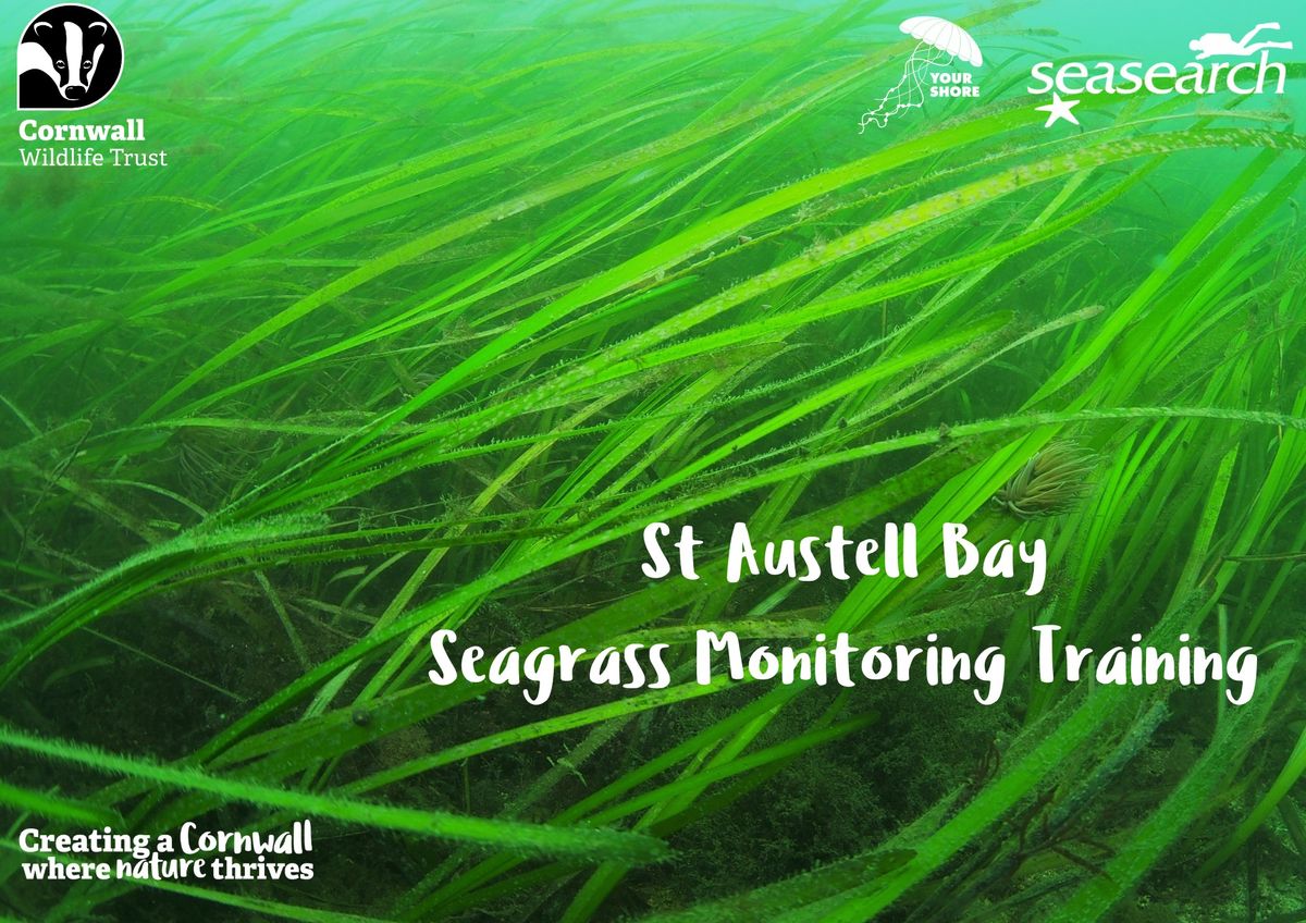 Seagrass Monitoring Training