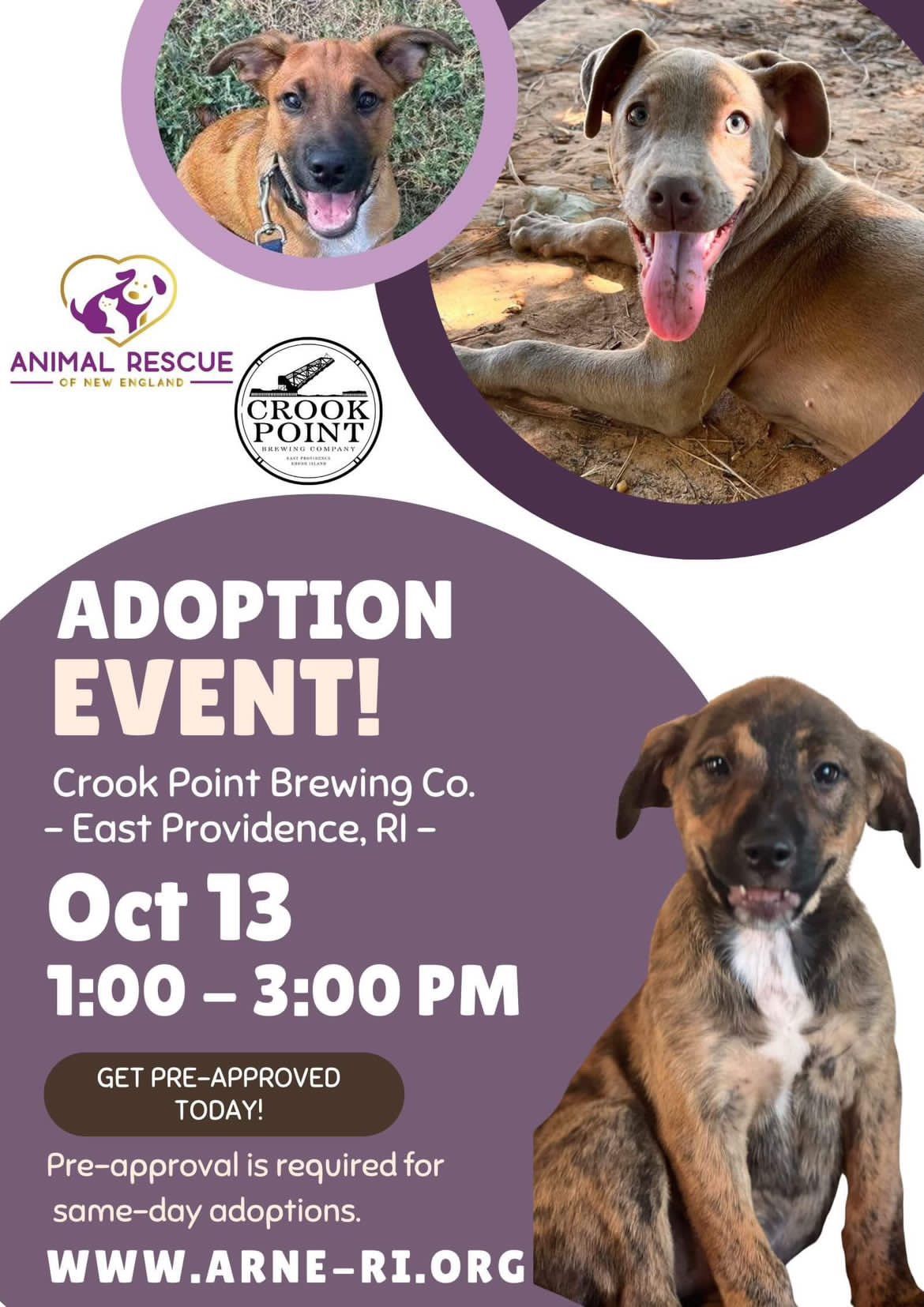 Adoption Event at Crook Point Brewing Company 