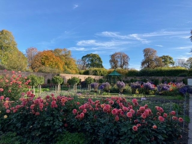 Rare Plant Fair - Manor House Gardens, Bledlow, Buckinghamshire