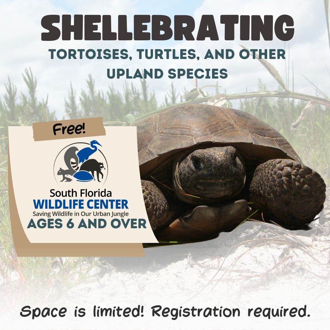 Shellebrating Tortoises, Turtles, and other Upland Species Workshop