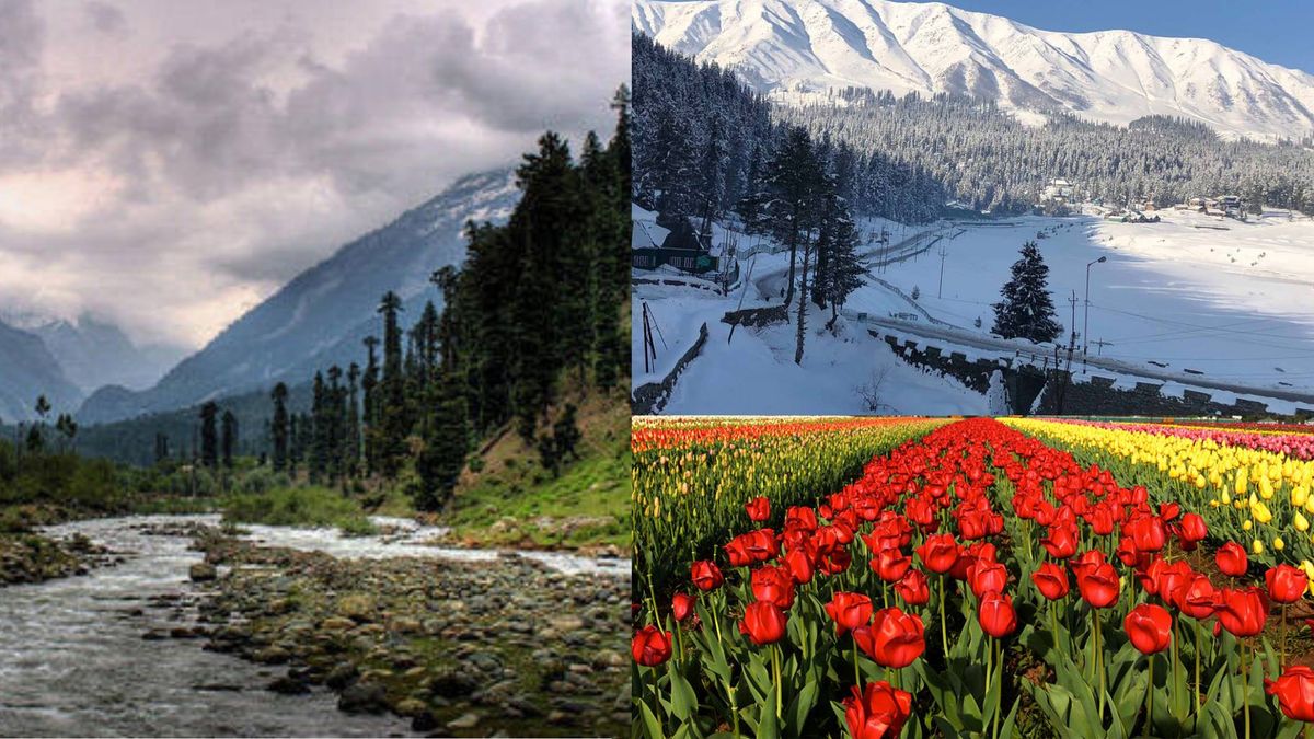 Enchanted Kashmir ( Tulip Festival Special ) 