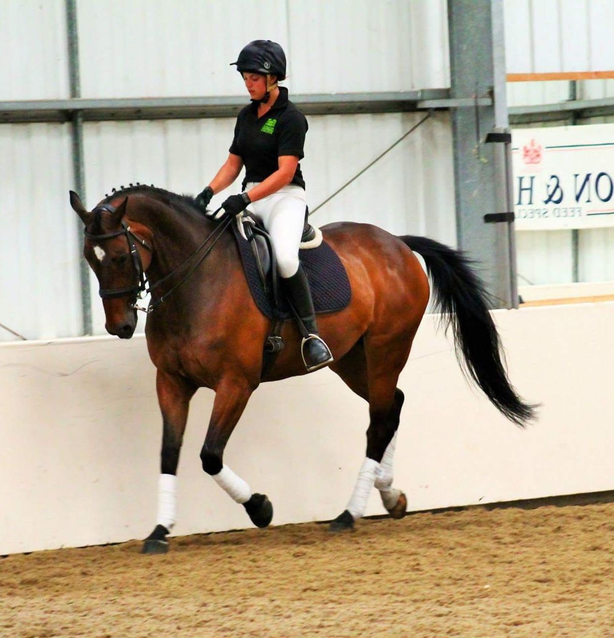 Dressage clinic with Donna Beha