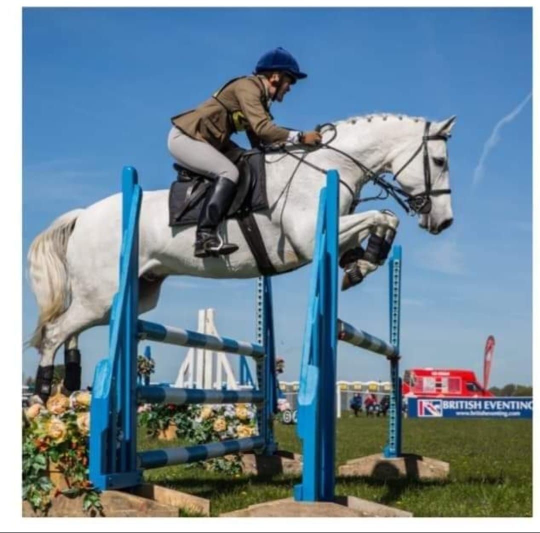 Show Jumping Clinic 