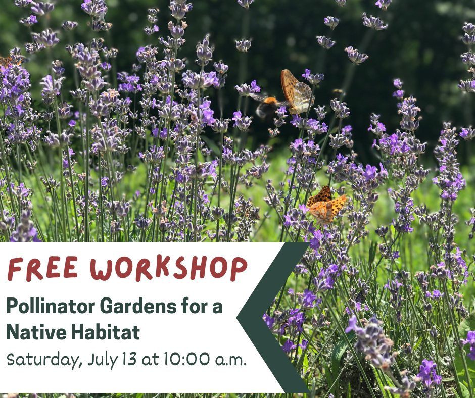 FREE EVENT: Pollinator Gardens for a Native Habitat