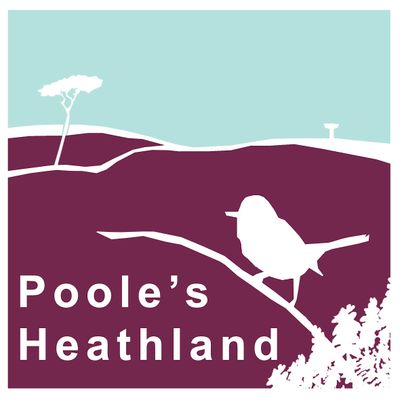 BCP Council - Poole's Heathland