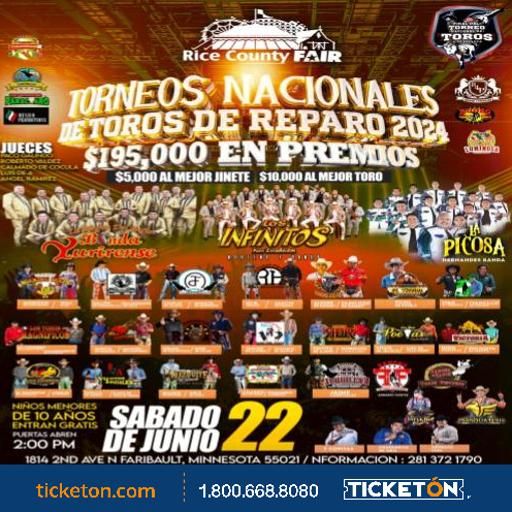 TORNEOS NACIONALES DE TOROS DE REPARO