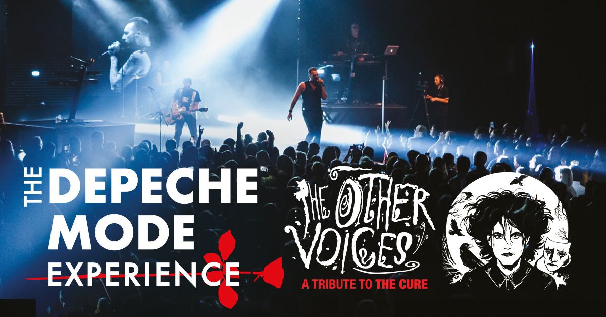 THE DEPECHE MODE EXPERIENCE \/ THE OTHER VOICES (CURE) \/ TOULOUSE 28.03.25