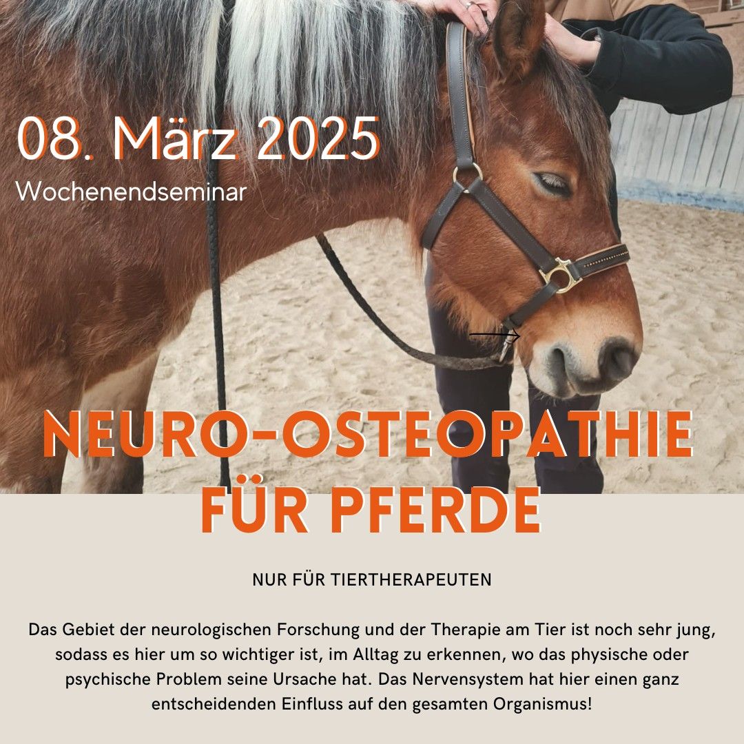 Neuro-Osteopathie f\u00fcr Pferde