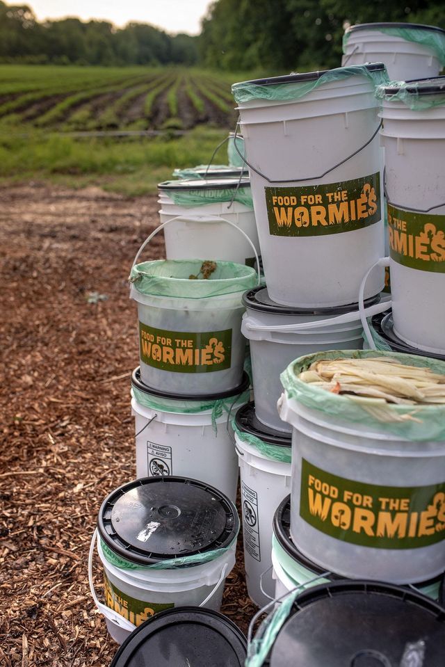 Making & Using Compost with Wormies