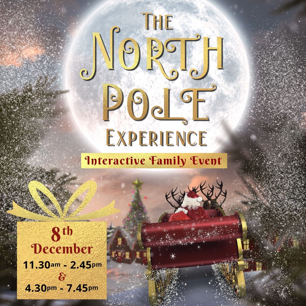 The North Pole Experience